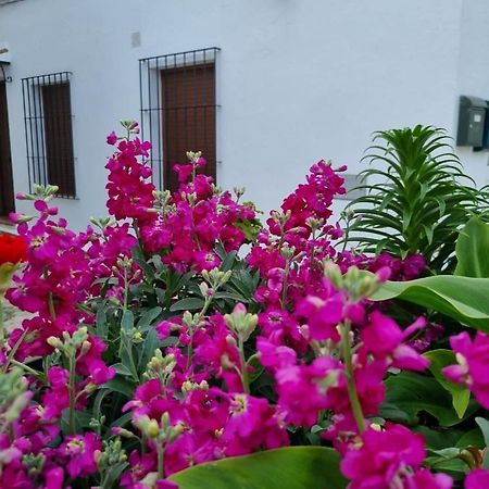 Вилла Casa Francisca En El Casco Antiguo Вьер де ла Фронтера Экстерьер фото